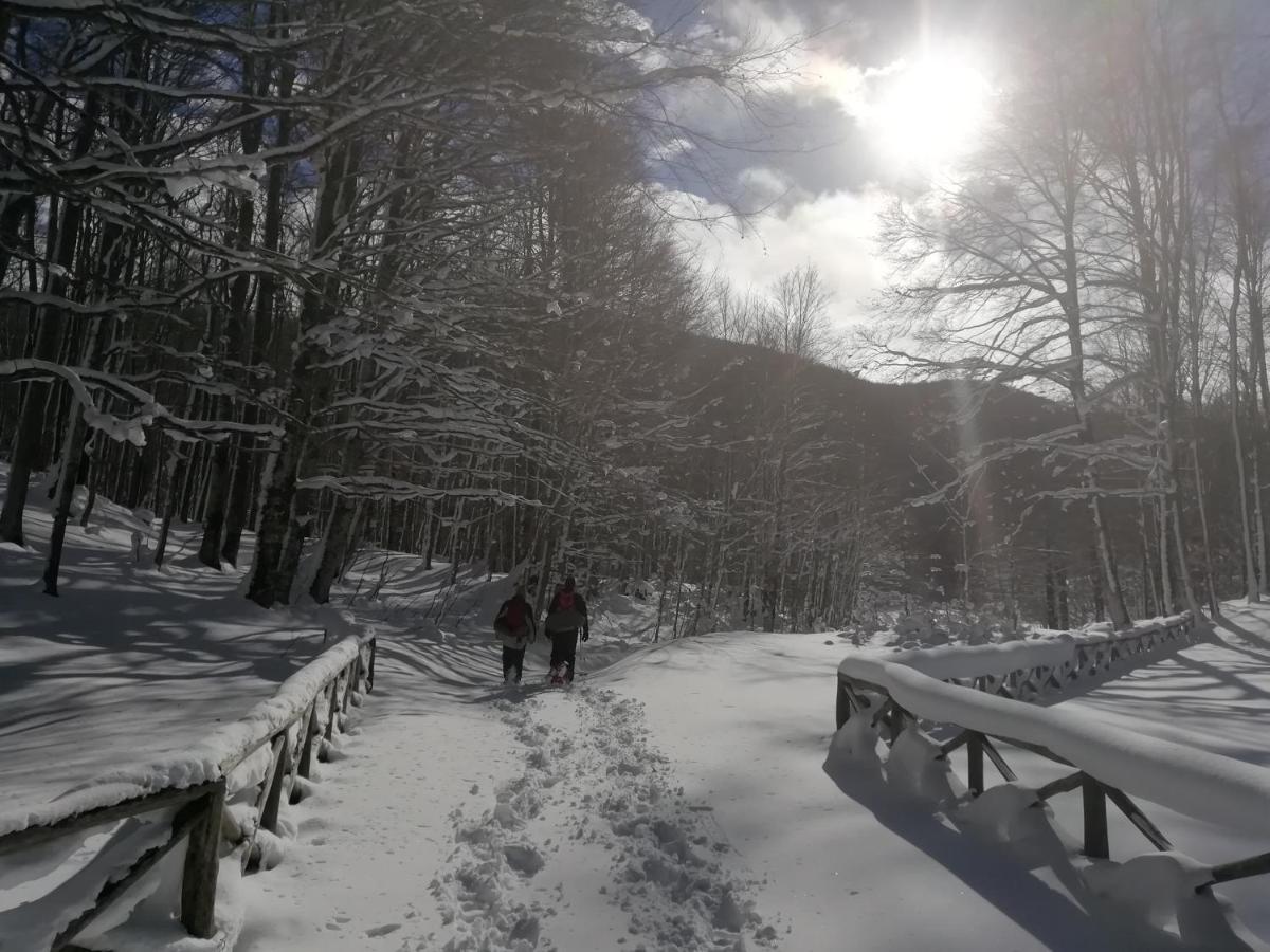 B&B Il Buon Cammino Roccamandolfi Esterno foto